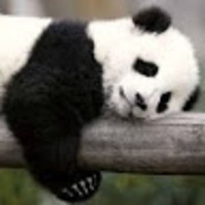 Meet your Posher, Derek